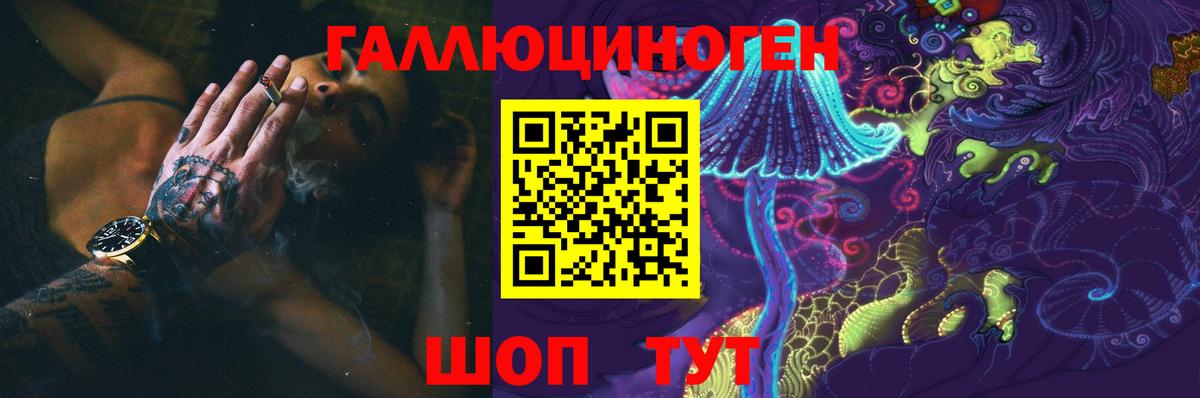 Волоколамск  Псилоцибиновые грибы Psilocybe  Вход с VPN  Галлюциногенные грибы мухоморы 